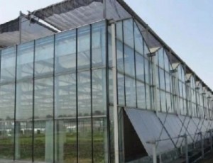 玻璃溫室大棚的加熱方式介紹