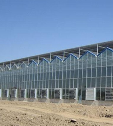 不懂這幾點，不要盲目投資玻璃溫室生態餐廳！