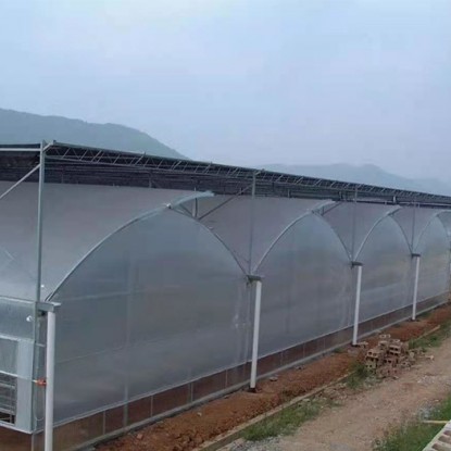 薄膜連棟溫室