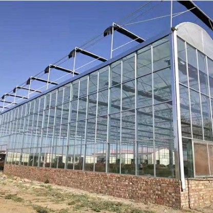 玻璃大棚