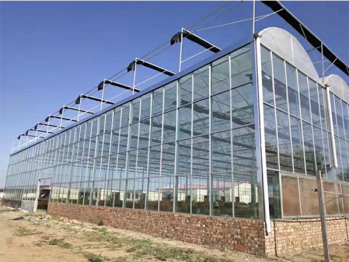 玻璃大棚